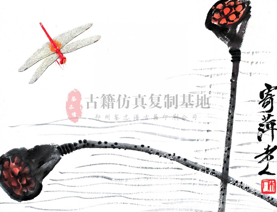 齐白石莲篷蜻蜓.jpg