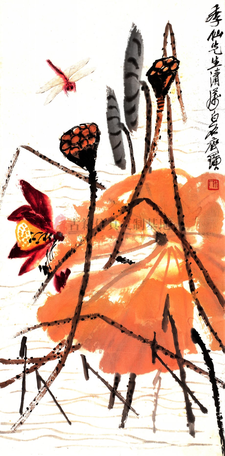 蜻蜓荷花3 .jpg